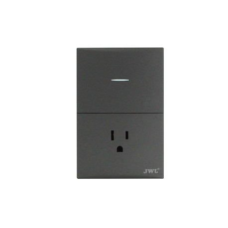 PLACA CON INTERRUPTOR SENCILLO Y UN TOMA CORRIENTE (JTL-G7744)